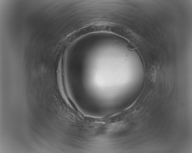X0000056010821200508191259