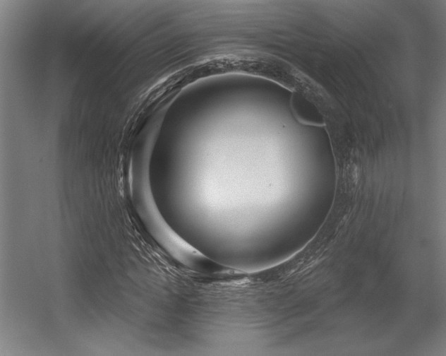X0000056010822200508191259