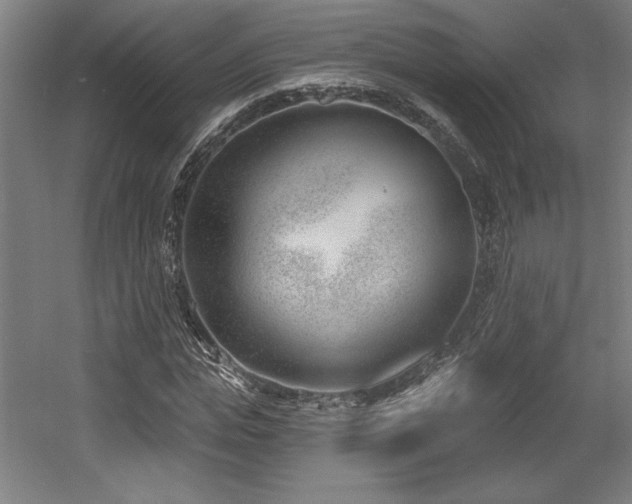 X0000056010823200508191259