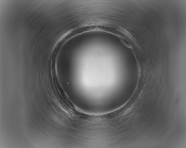 X0000056010826200508191259