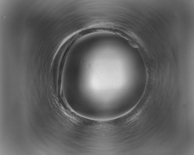 X0000056010830200508191259