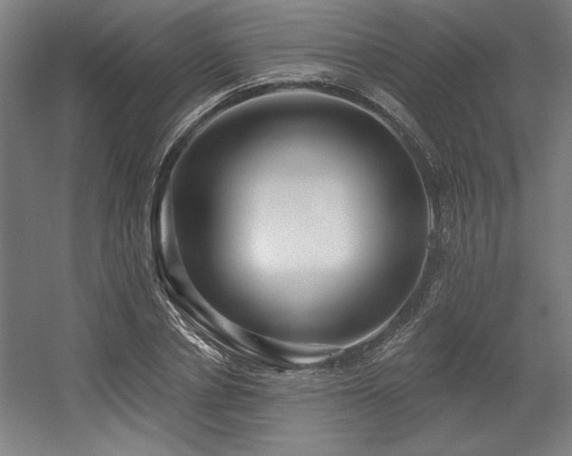X0000056010834200508191259