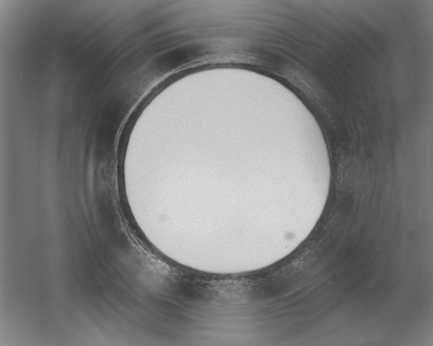 X0000056010836200508191259