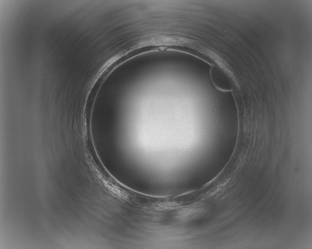 X0000056010837200508191259