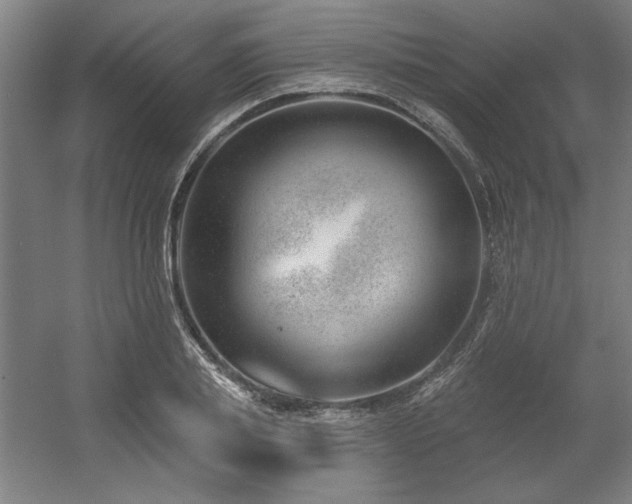 X0000056010839200508191259
