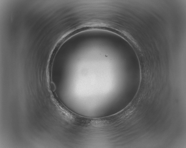 X0000056010840200508191259