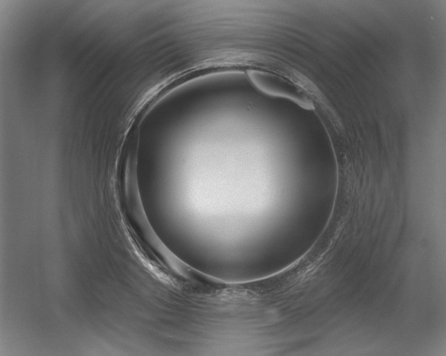 X0000056010842200508191259