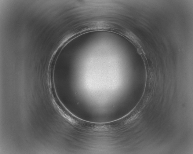 X0000056010843200508191259