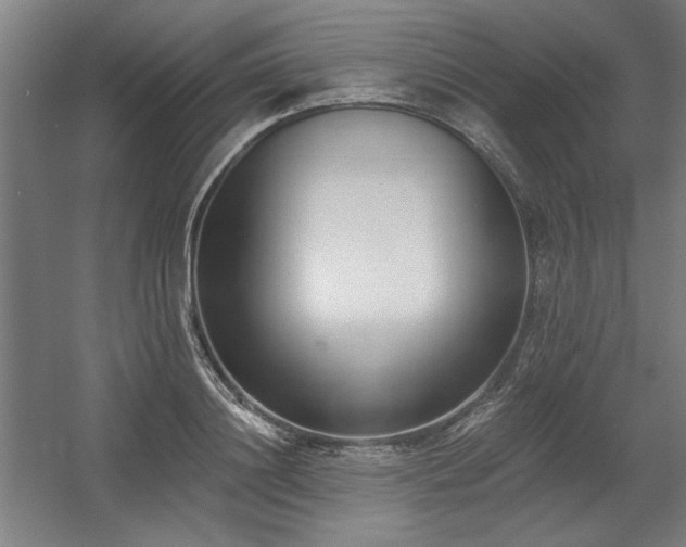 X0000056010844200508191259