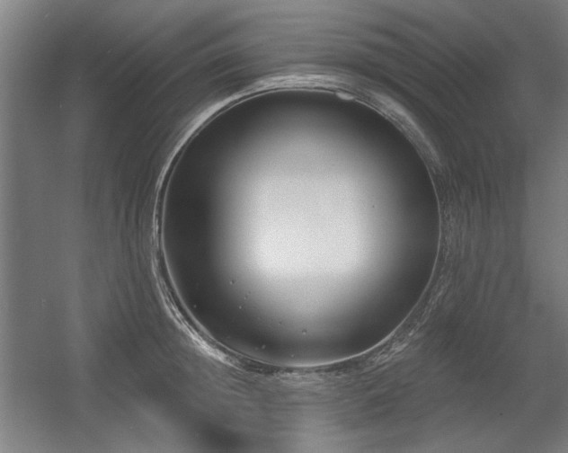 X0000056010852200508191259