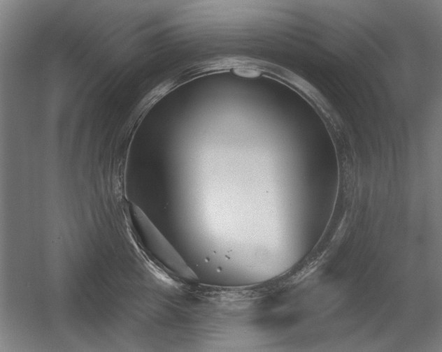 X0000056010857200508191259