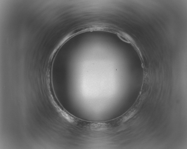 X0000056010859200508191259