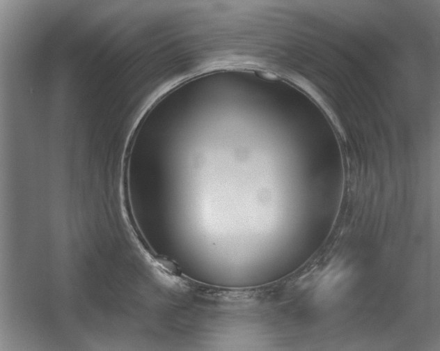 X0000056010861200508191259