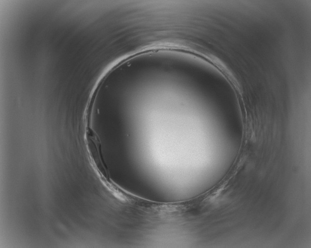 X0000056010862200508191259