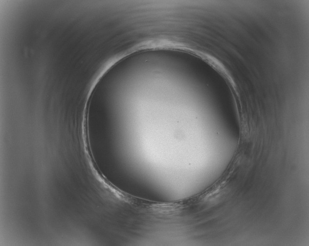 X0000056010863200508191259