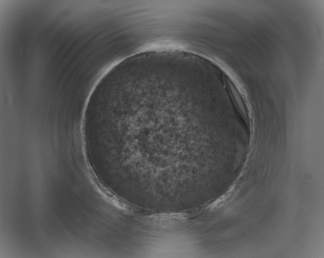 X0000056010864200508191259