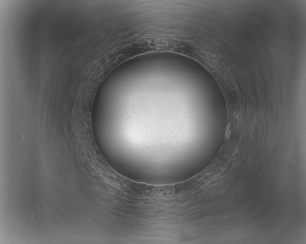 X0000056010865200508191259