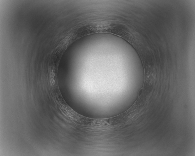 X0000056010866200508191259