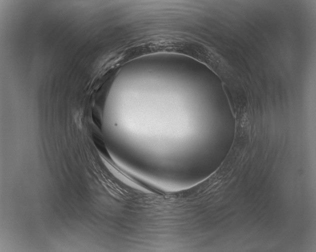 X0000056010868200508191259