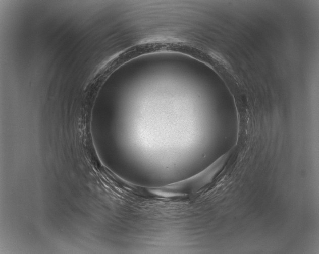 X0000056010872200508191258
