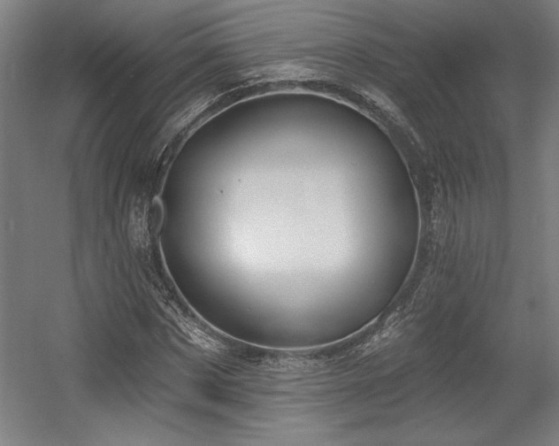 X0000056010873200508191258