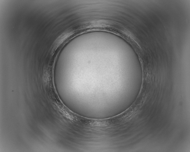 X0000056010874200508191258
