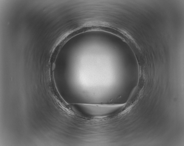 X0000056010877200508191258