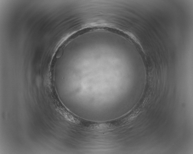 X0000056010879200508191258