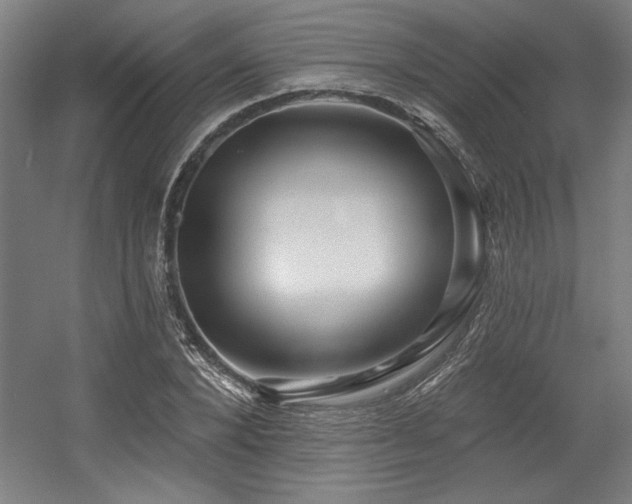 X0000056010880200508191258