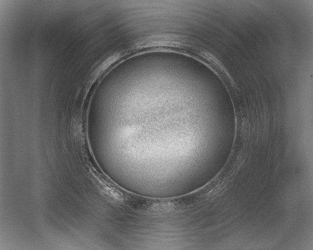 X0000056010882200508191258