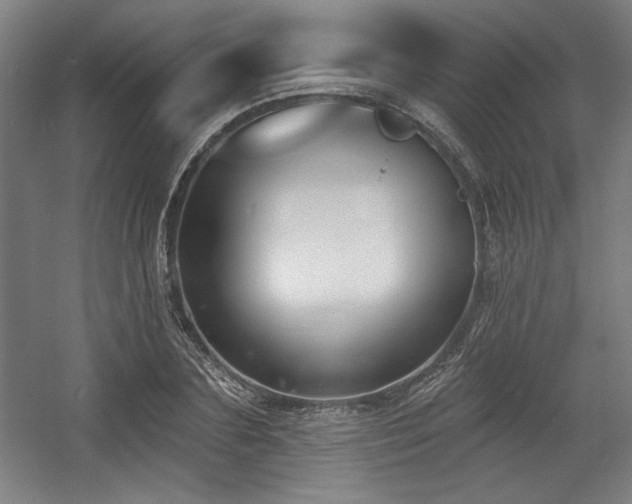 X0000056010883200508191258