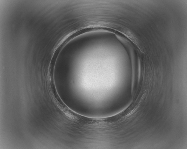X0000056010885200508191258
