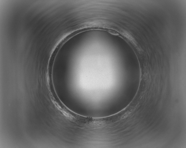 X0000056010888200508191258