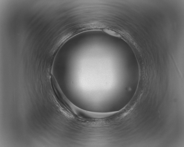 X0000056010889200508191258