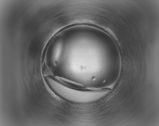 X0000056010895200508191258