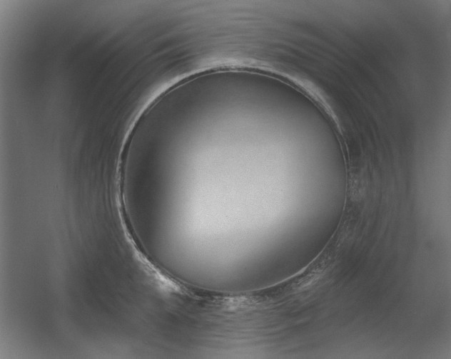 X0000056010903200508191258