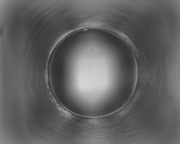 X0000056010904200508191258