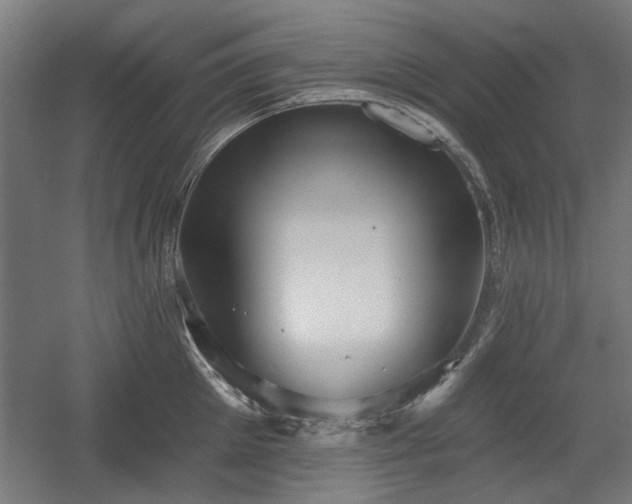 X0000056010905200508191258