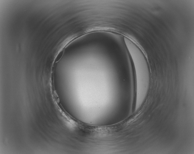 X0000056010906200508191258