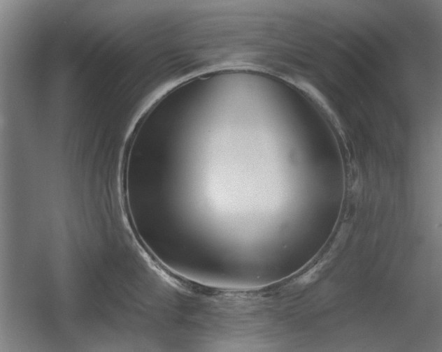 X0000056010910200508191258