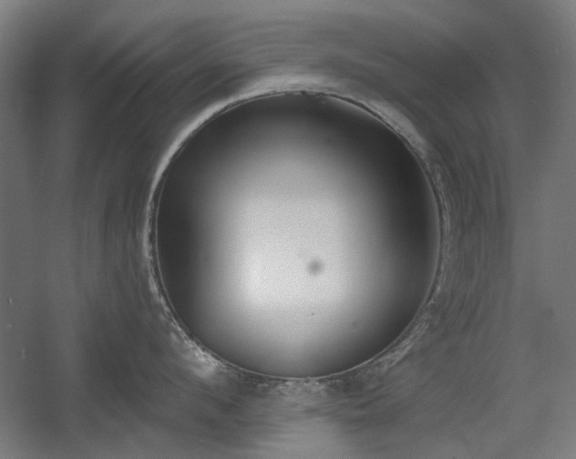 X0000056010912200508191258