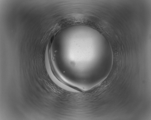 X0000056010916200508191257
