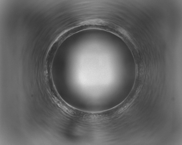 X0000056010923200508191257