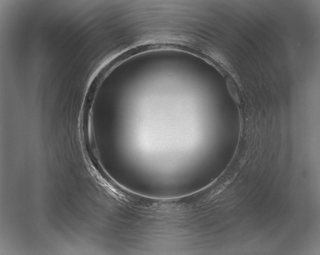 X0000056010928200508191257