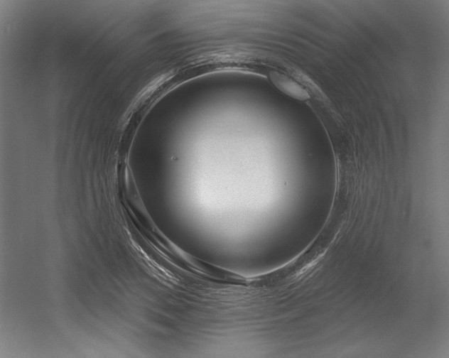 X0000056010930200508191257