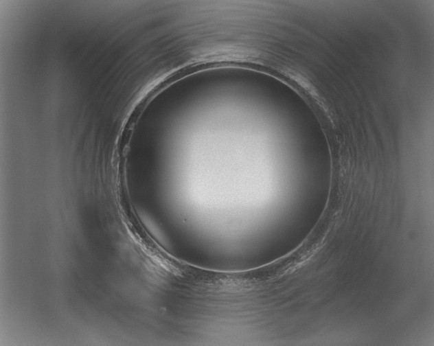 X0000056010933200508191257