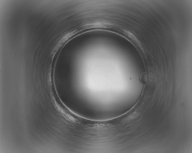X0000056010938200508191257