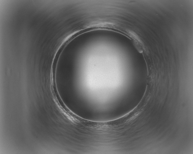 X0000056010940200508191257