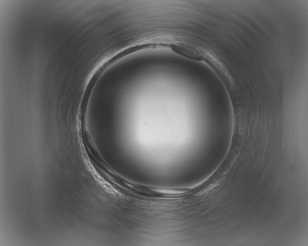X0000056010944200508191257