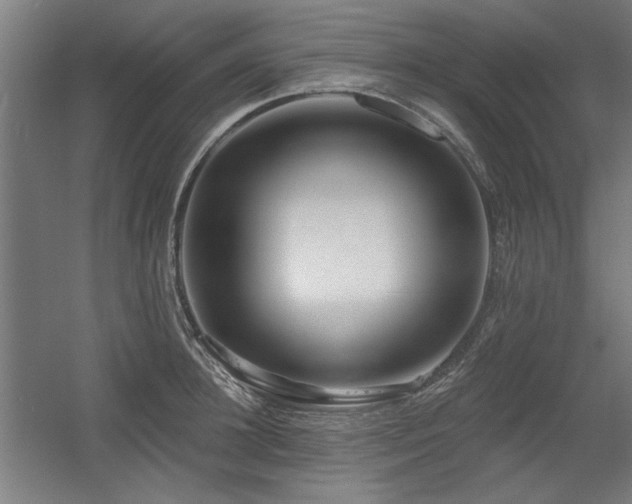 X0000056010948200508191258